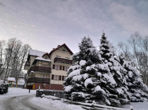 Apartament 4 osobowy, sauna, sala fitness